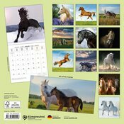 Calendrier Mural 2025 Chevaux Libert