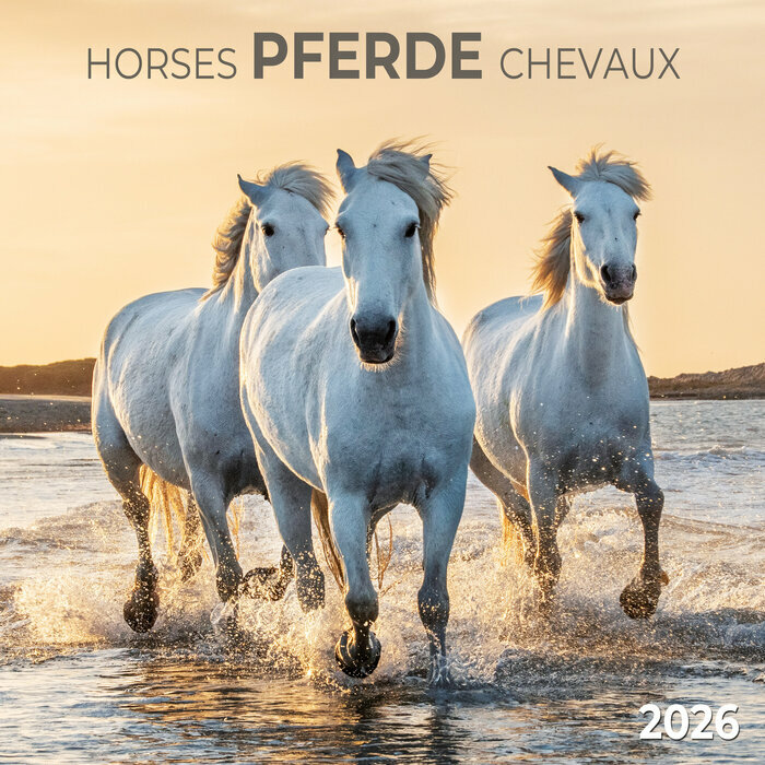 Calendrier Mural 2026 Chevaux Champ Fleur