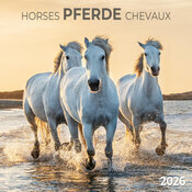 Calendrier 2025 Chevaux Champ Fleur