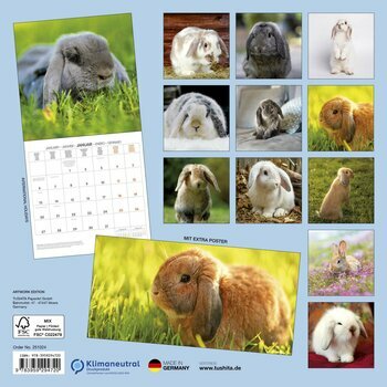 Calendrier 2025 Lapin avec Poster Offert