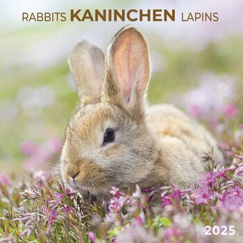 Calendrier 2025 Lapin avec Poster Offert