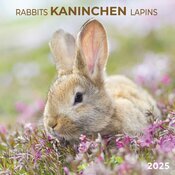 Calendrier 2025 Lapin Fleur