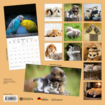 Calendrier 2025 Animaux Amis avec Poster Offert