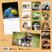 Calendrier 2025 Animaux Amis avec poster