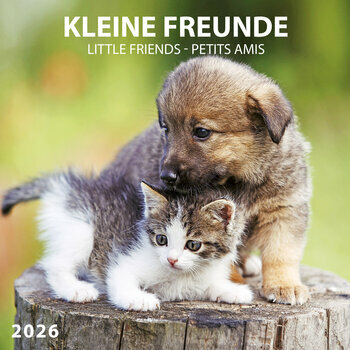 Calendrier 2025 Animaux Amis avec Poster Offert