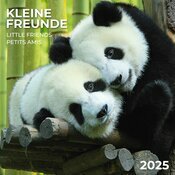 Calendrier Mural 2025 couple Panda Animaux