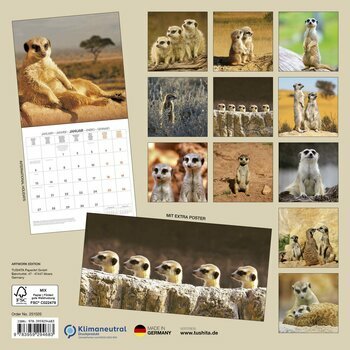 Calendrier 2025 Suricate avec Poster Offert