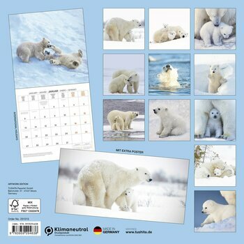Calendrier 2025 Ours Polaire avec Poster Offert
