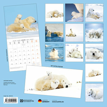 Calendrier 2025 Ours Polaire avec Poster Offert