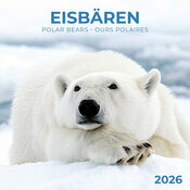 Calendrier Mural Ours Polaire 2026 Banquise