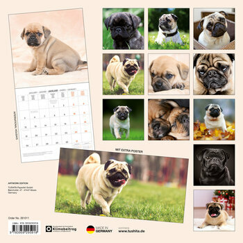 Calendrier 2026 Carlin avec Poster Offert