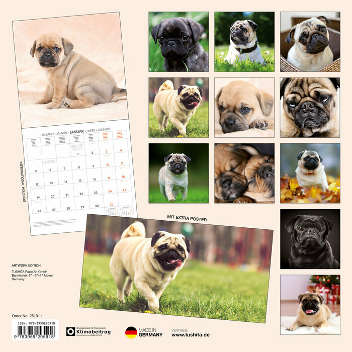 Calendrier Papier Chien de Race Carlin 2026