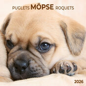 Calendrier Mural Chien de Race Carlin 2026