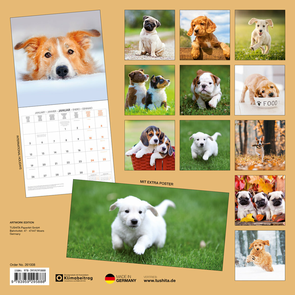 Calendrier Mural 2025 Chiots avec Poster Offert Bébés Chien Golden retriever Jack Russell Husky