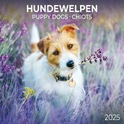Calendrier Chiots 2025 Jack Rusell