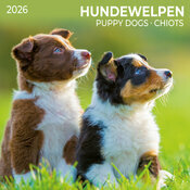 Calendrier Chiots 2026 Border Collie