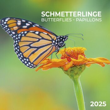 Calendrier 2025 Papillon avec Poster Offert