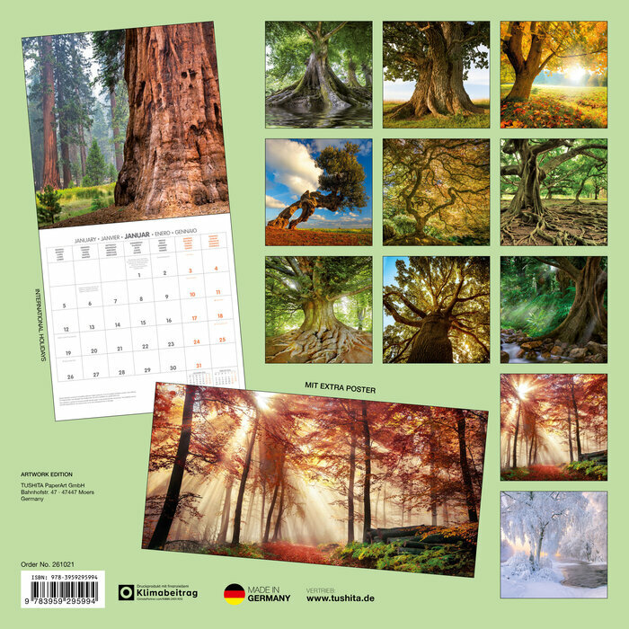 Calendrier Mural Arbre Forêt 2026 