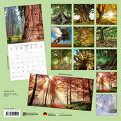 Calendrier Mural 2025 Arbre avec poster Offert