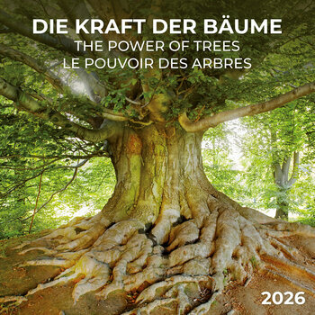 Calendrier 2025 Le Pouvoir des Arbres avec Poster Offert