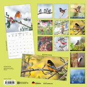 Calendrier Mural 2025 Oiseaux du jardin poster