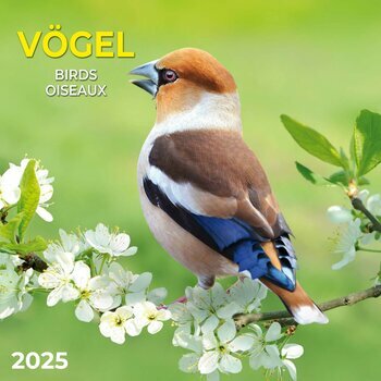 Calendrier 2025 Oiseaux avec Poster Offert