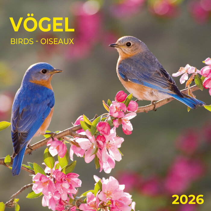 Calendrier Papier Oiseaux du jardin 2026
