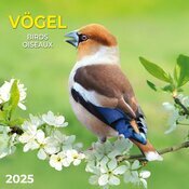 Calendrier Oiseaux du jardin 2025