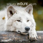 Calendrier Loups 2025 