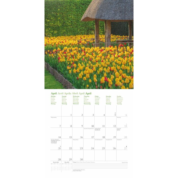 Calendrier Tulipes Fleurs 2025