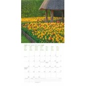 Calendrier Tulipes Fleurs 2025