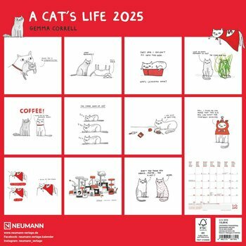 Calendrier 2025 Bd Humour Chat - A Cat's life