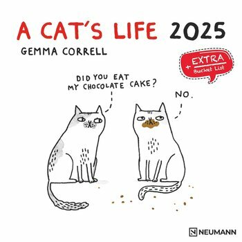 Calendrier 2025 Bd Humour Chat - A Cat's life