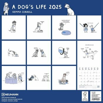 Calendrier 2025 Bd Humour Chien - A Dog's life