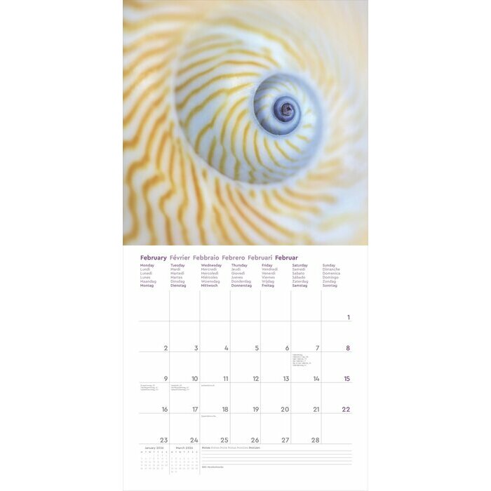  Calendrier Mural 2025 Merveilles de la Nature