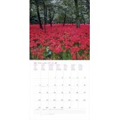 Calendrier 2025 Nature  Arbre en Fleurs