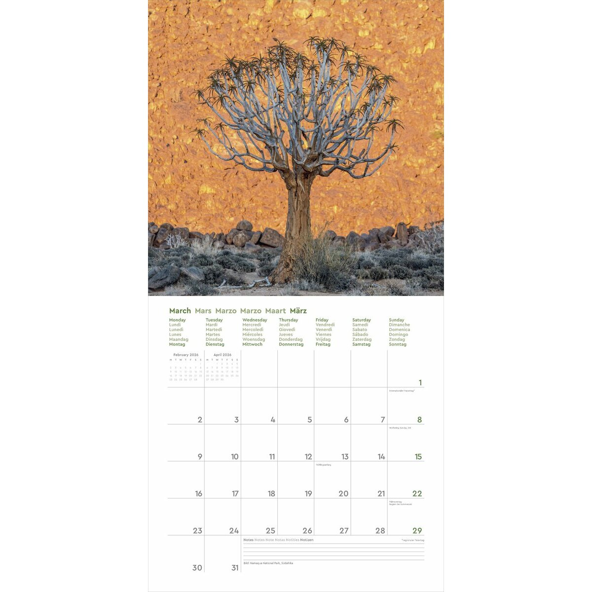 Calendrier Mural 2025 Vieux et Beaux Arbres Sequoia Sherman Bonsai