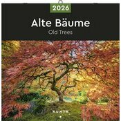 Calendrier 2025 Vieux et Beaux Arbres