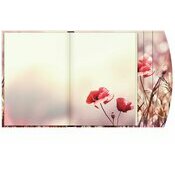 Agenda Rabat Magntique 2025 Fleurs Coquelicots