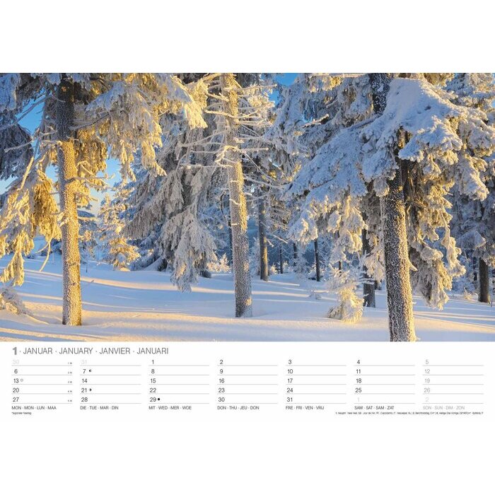 Maxi Calendrier 2025 Forts saisons