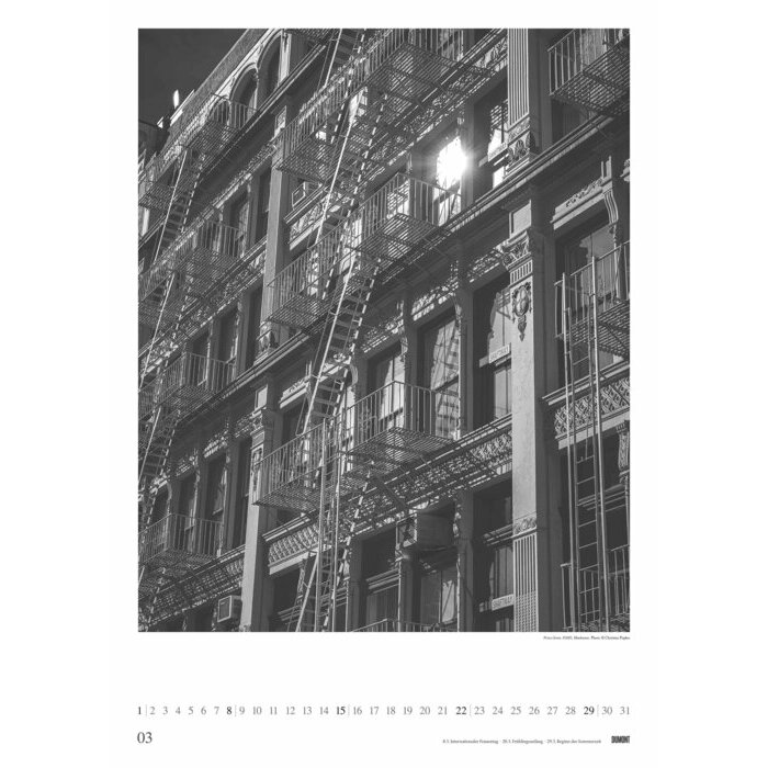 Maxi Calendrier Poster 2026 New York
