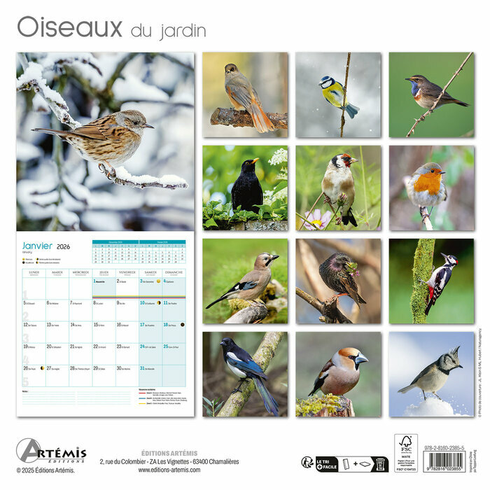  Calendrier Mural papier 2026 Moineaux Oiseaux du Jardin