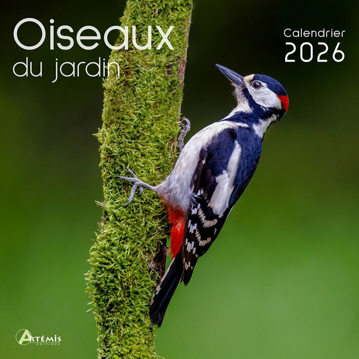  Calendrier Mural 2026 Moineaux Oiseaux du Jardin