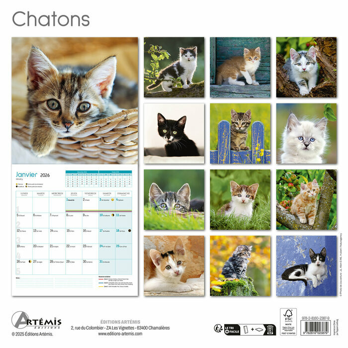 Calendrier papier 2026 Chatons Adorés