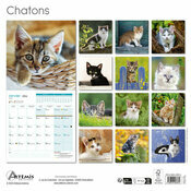 Calendrier papier 2026 Chatons Adorés