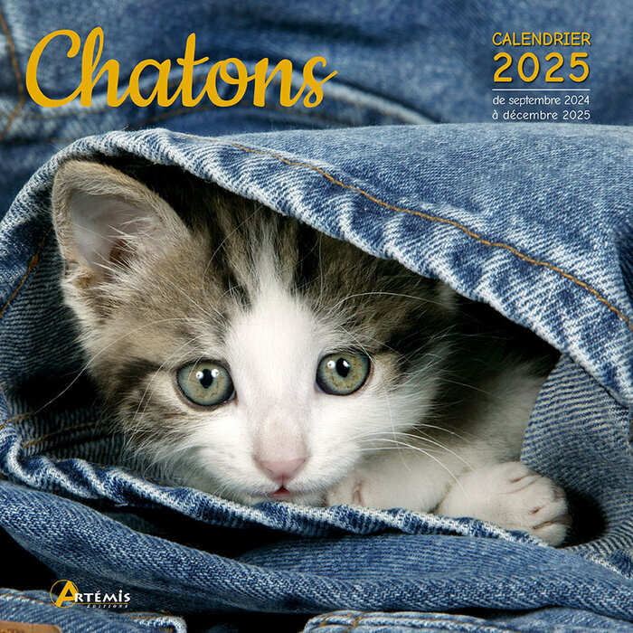 Calendrier Mural 2025 Chatons Adorés