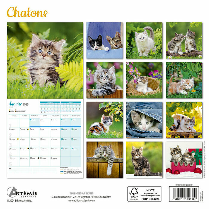 Calendrier Français 2025 Chatons Adorés