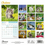 Calendrier Français 2025 Chatons Adorés