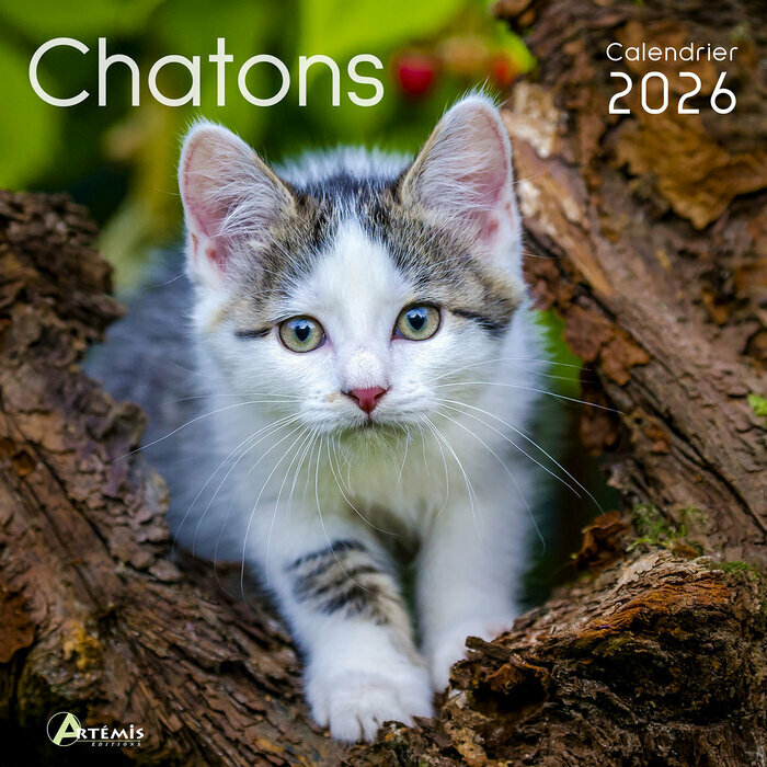 Calendrier Mural 2026 Chatons Adorés