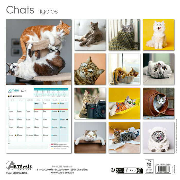 Calendrier papier 2026 Chats Rigolos